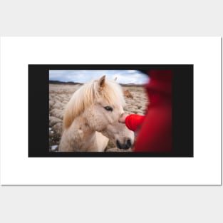 Men Meeting with Icelandic White Horse Posters and Art